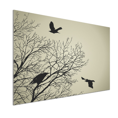 Cooker splashback Crows