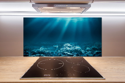 Cooker splashback Underwater world