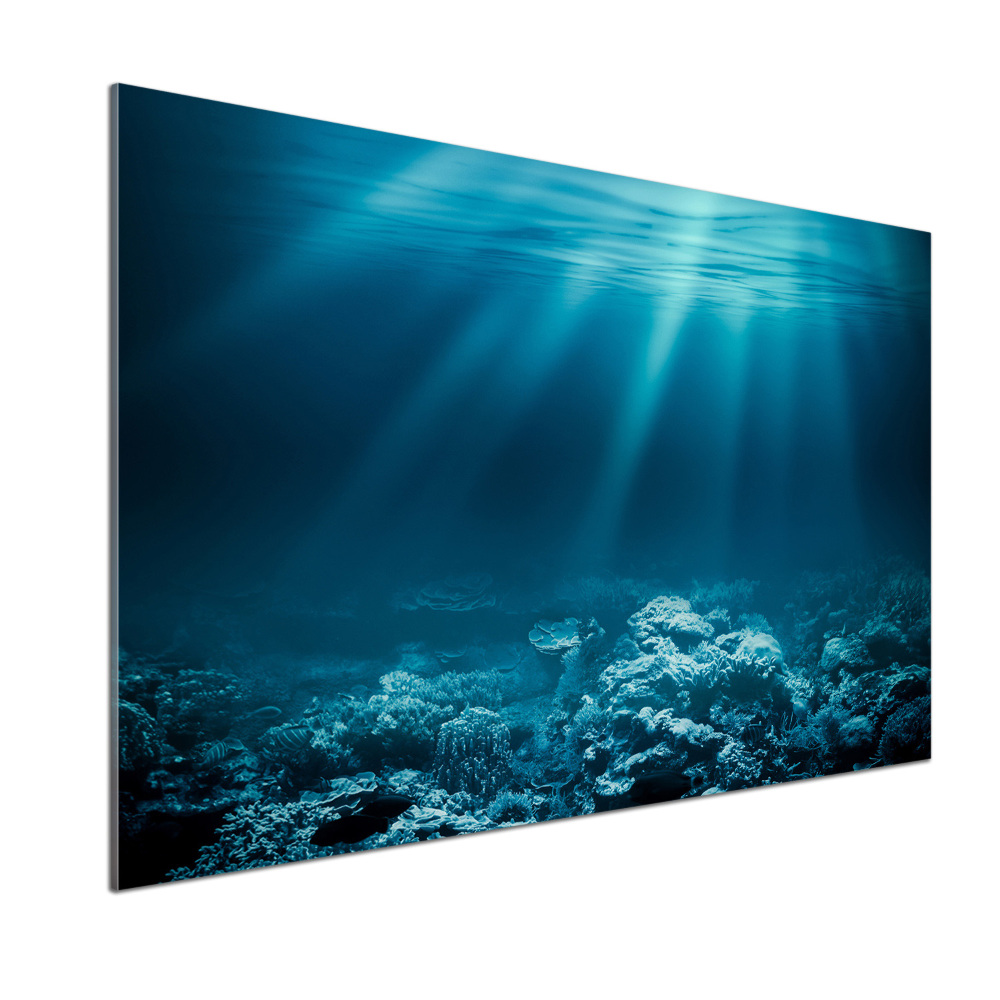 Cooker splashback Underwater world