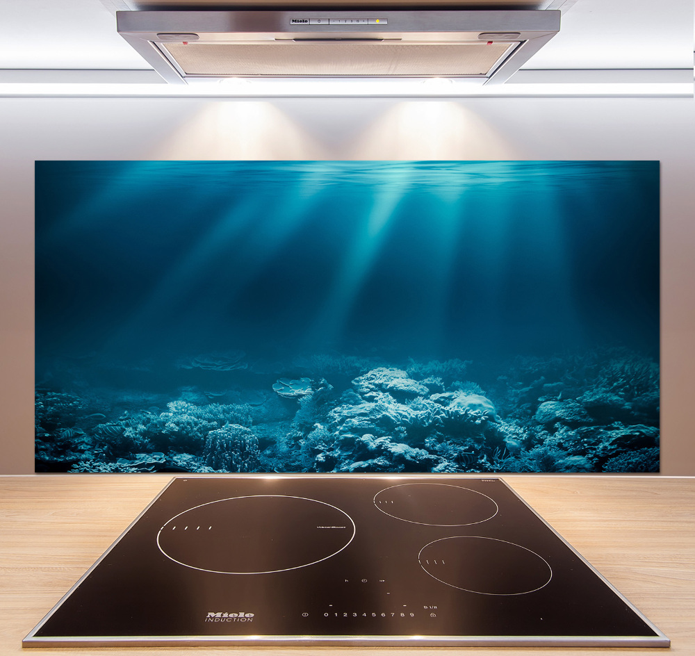 Cooker splashback Underwater world