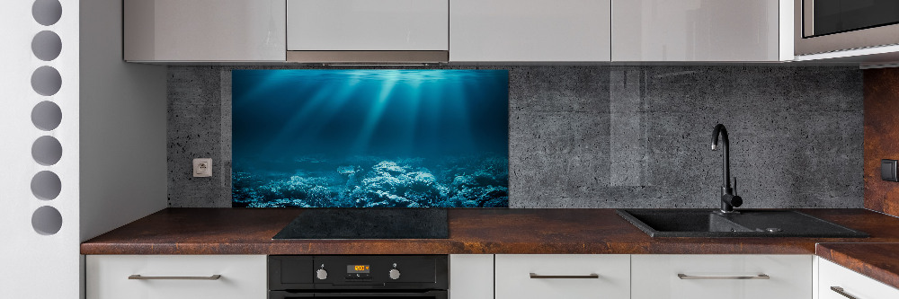 Cooker splashback Underwater world