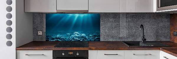 Cooker splashback Underwater world