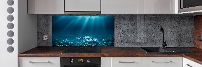 Cooker splashback Underwater world