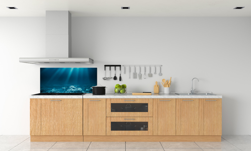 Cooker splashback Underwater world