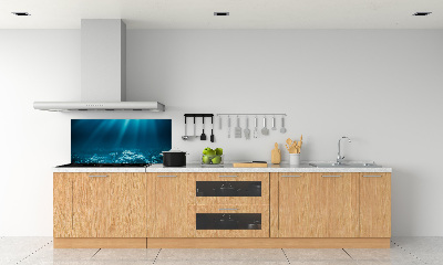 Cooker splashback Underwater world