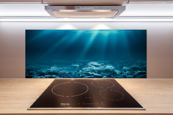 Cooker splashback Underwater world