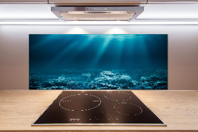 Cooker splashback Underwater world