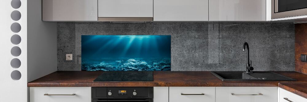 Cooker splashback Underwater world