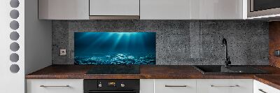 Cooker splashback Underwater world