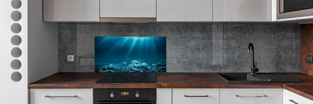 Cooker splashback Underwater world