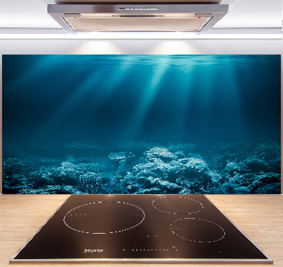 Cooker splashback Underwater world