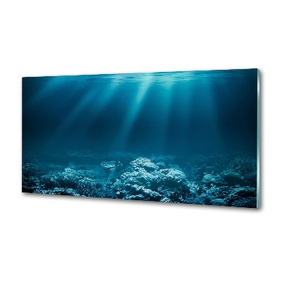 Cooker splashback Underwater world