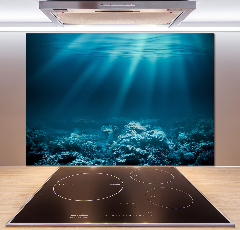 Cooker splashback Underwater world