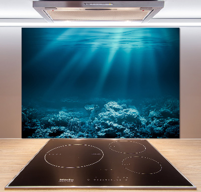 Cooker splashback Underwater world