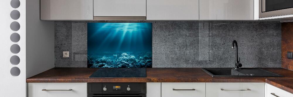 Cooker splashback Underwater world