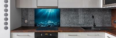 Cooker splashback Underwater world