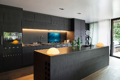 Cooker splashback Underwater world