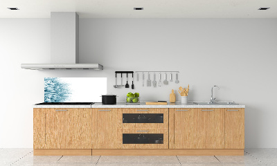 Kitchen splashback Dandelion