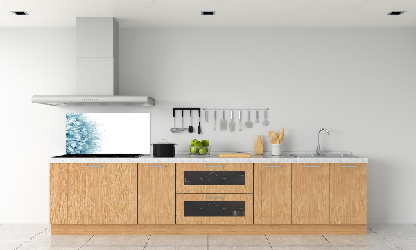 Kitchen splashback Dandelion