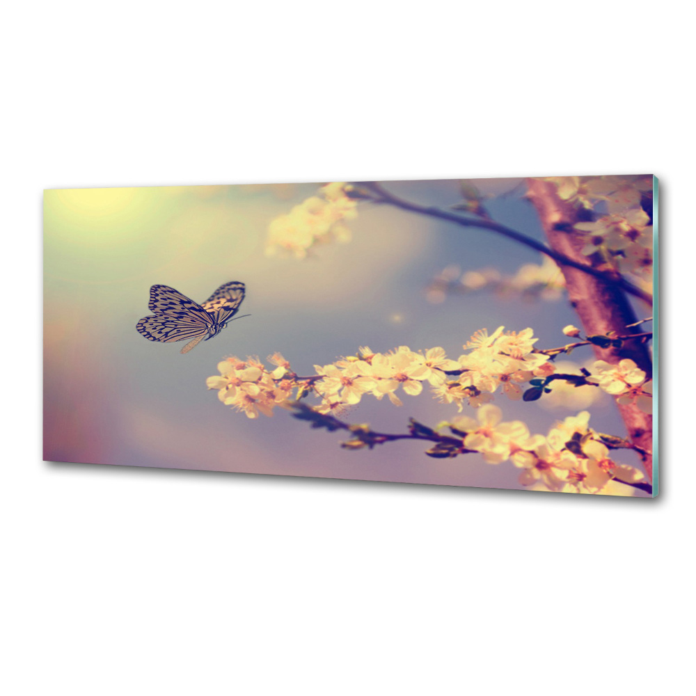 Kitchen splashback Cherry flower and butterfly