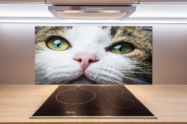 Cooker splashback Green cat eyes