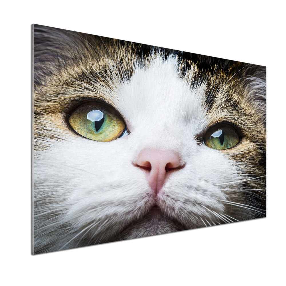 Cooker splashback Green cat eyes