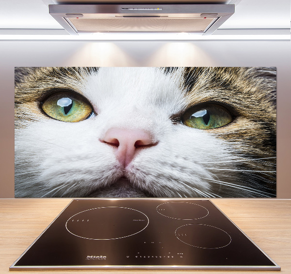 Cooker splashback Green cat eyes