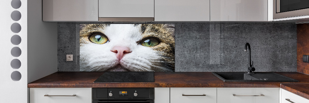 Cooker splashback Green cat eyes