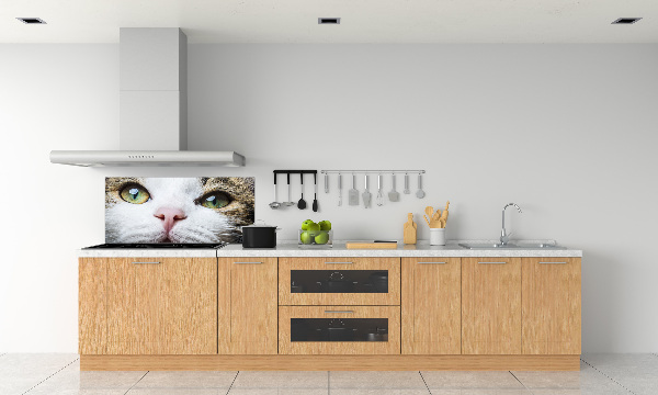 Cooker splashback Green cat eyes