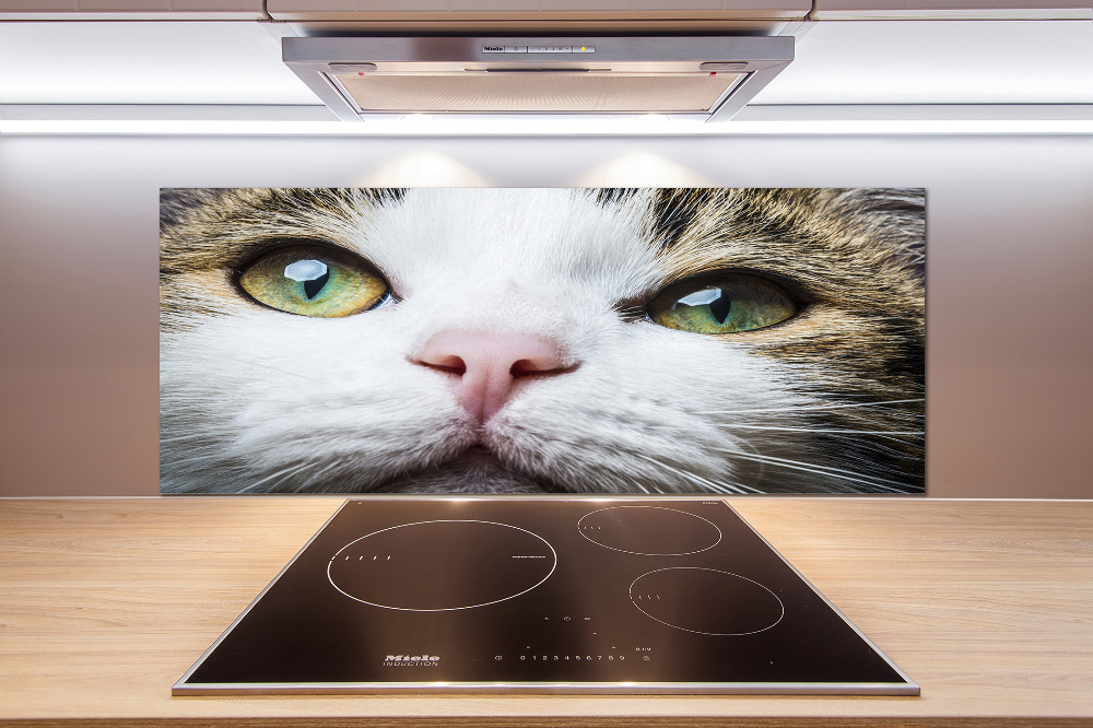 Cooker splashback Green cat eyes