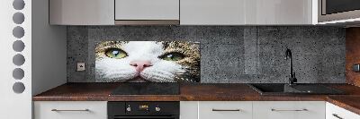 Cooker splashback Green cat eyes