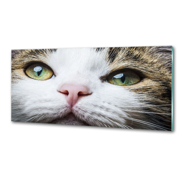 Cooker splashback Green cat eyes