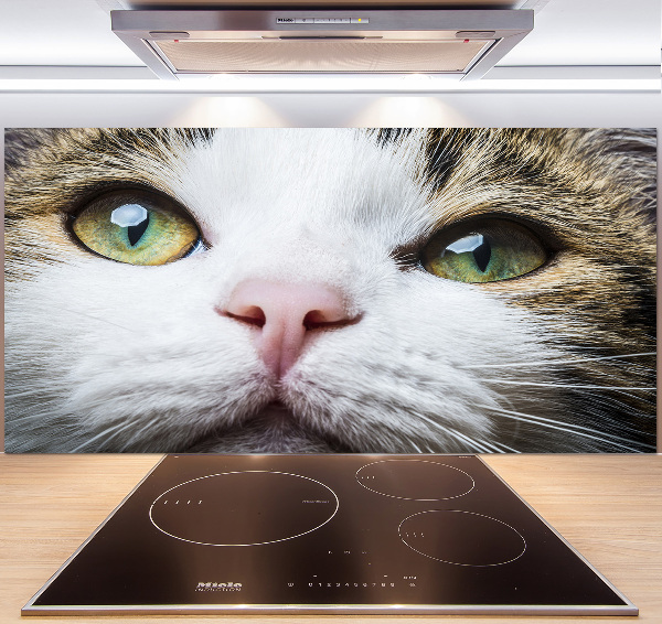 Cooker splashback Green cat eyes