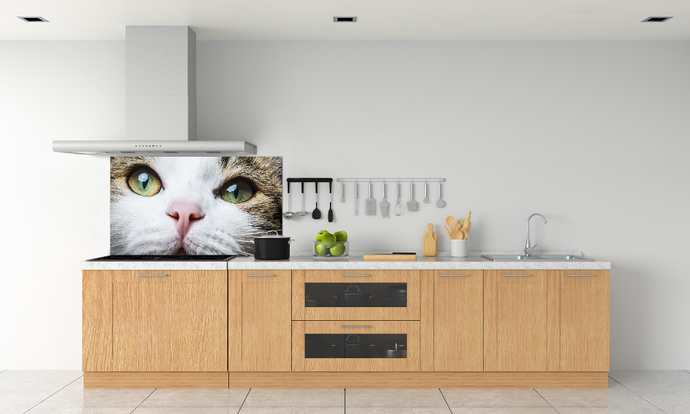 Cooker splashback Green cat eyes