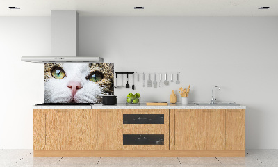 Cooker splashback Green cat eyes