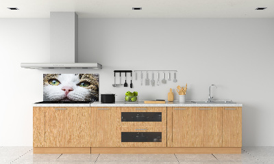 Cooker splashback Green cat eyes