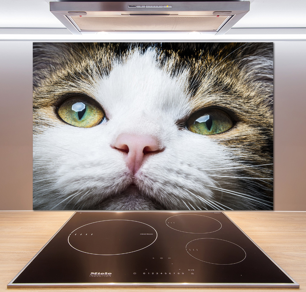 Cooker splashback Green cat eyes