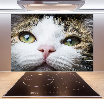 Cooker splashback Green cat eyes