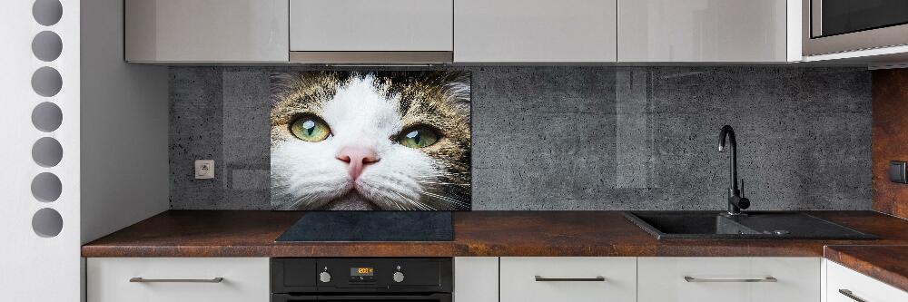 Cooker splashback Green cat eyes