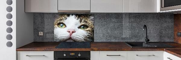 Cooker splashback Green cat eyes