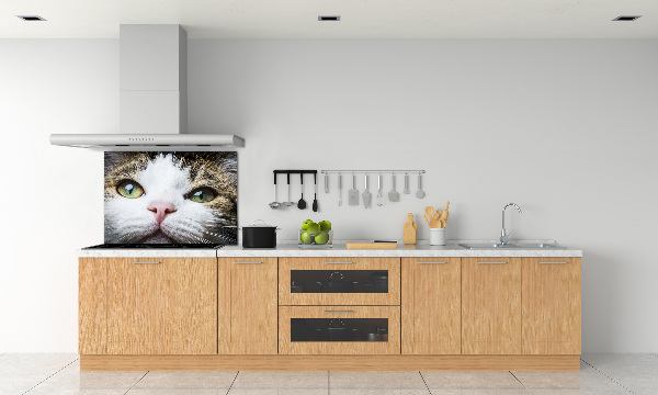 Cooker splashback Green cat eyes