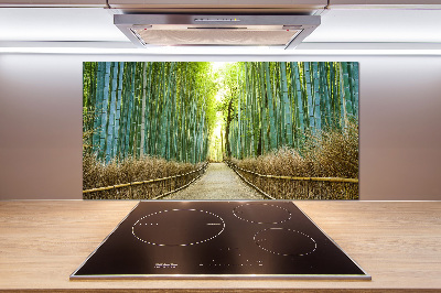 Glass splashback Bamboo forest