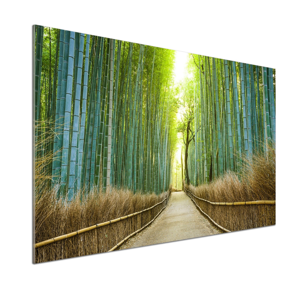 Glass splashback Bamboo forest