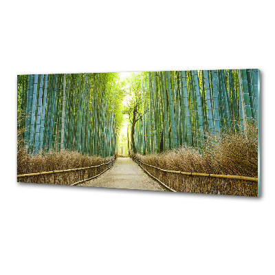 Glass splashback Bamboo forest