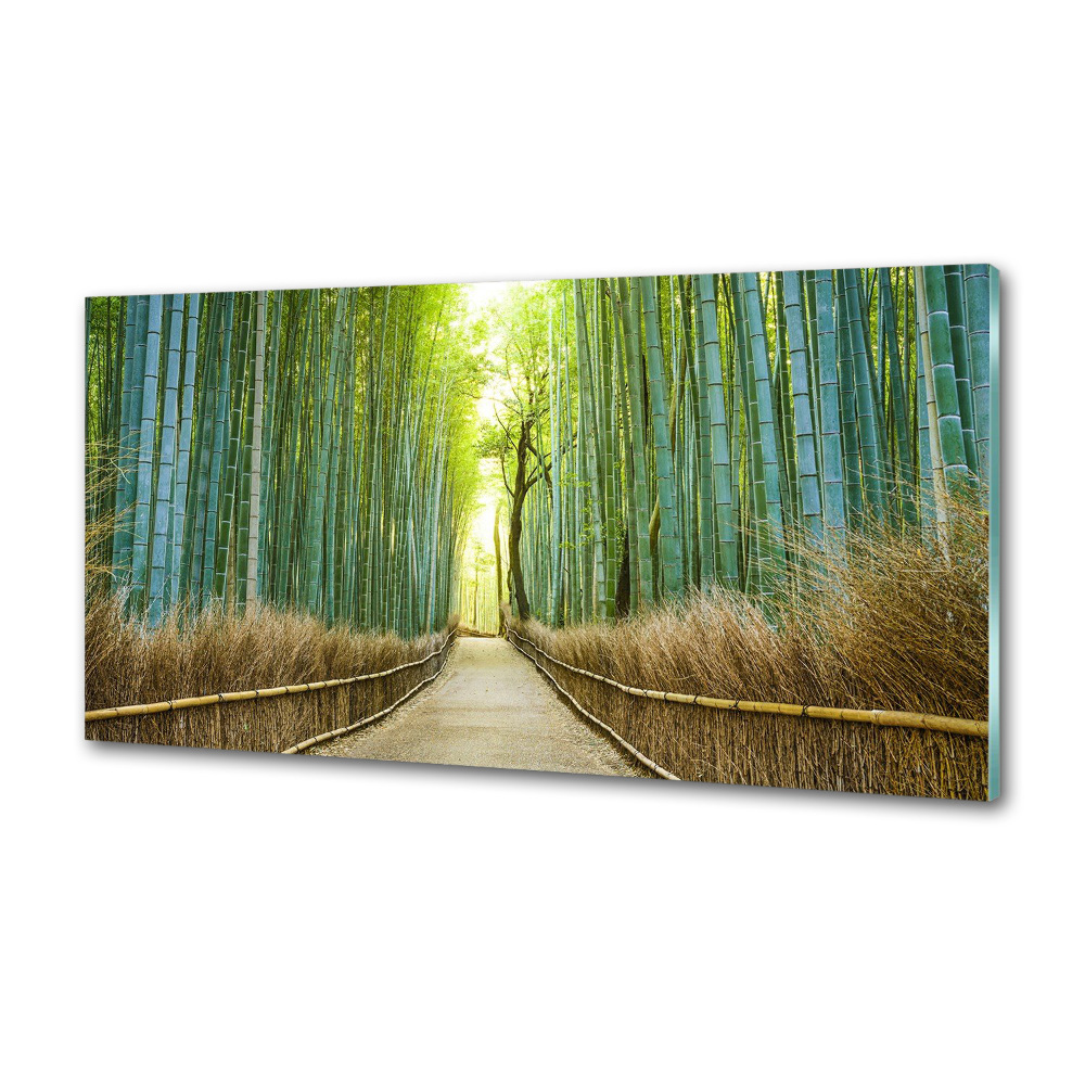 Glass splashback Bamboo forest