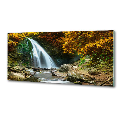 Glass splashback Waterfall in the forest