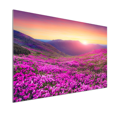 Glass splashback Pink hills