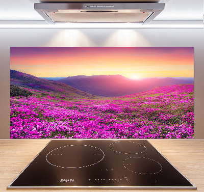 Glass splashback Pink hills