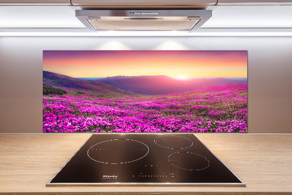 Glass splashback Pink hills