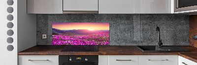 Glass splashback Pink hills